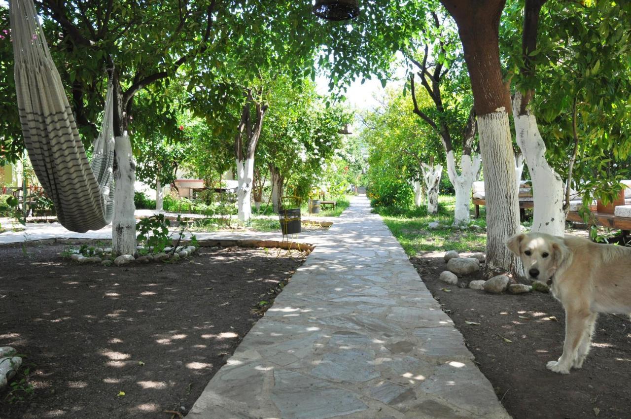 San Simon Hotel Çıralı Kültér fotó