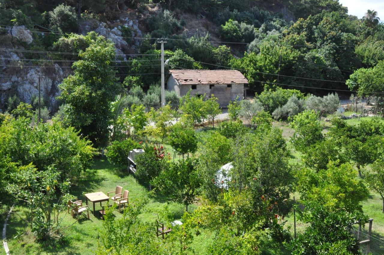 San Simon Hotel Çıralı Kültér fotó